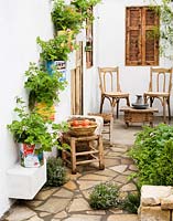 Olive cans on whitewashed wall with pelargoniums. Wooden table and chairs with shuttered window behind.