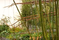 Planting includes bamboo and Verbascum 'Clementine'. Dark Matter Garden for the National Schools Observatory.  RHS Chelsea Flower Show 2015