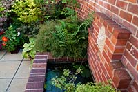 Side view of wall fountain and brick pond with water soldier - Stratiotes aloides and water lily. Acer dissectum cultivar behind with fern and variegated hosta, and bonsai hawthorn in foreground. In background Amelanchier, fuchsia, acers 
including purple-leaved Acer palmatum 'Bloodgood' and Clematis alpina cultivar. All plants in containers.