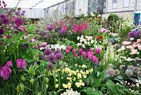 Avon Bulbs display in the Grand Marquee. Gold medal winner. RHS Chelsea Flower Show 2015