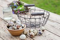 Materials required for constructing Easter basket: Wireframe basket, Glass jar, Quail Eggs, Pulmonaria, Muscari, Lamium purpureum, Scilla siberica and Hebe