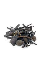 Pieces of Bladderwrack herb or Black-tang - Fucus vesiculosus - for use in herbal medicine