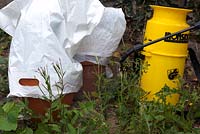 Cover nearby plants with polythene bags when using weedkiller