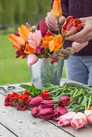 Creating a Floral display with fresh cut Tulipa 'Generaal De Wet', Tulipa 'National Velvet', Tulipa 'Apricot Beauty', Tulipa 'Blumex' and Wallflowers
