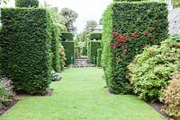 View down axis of garden to the fireboy fountain. Tropaeolum speciosum growing through Taxus baccata. Plas Brondanw Garden, Wales. Designed by and was the home of Sir Clough Williams-Ellis. July 2015