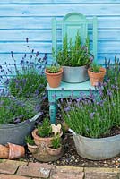 Reclaimed planters and pots with Lavender and Rosemary arranged around refinished vintage chair against blue painted shed and reclaimed brick pathway.