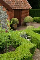 Buxus sempervirens - Box balls in terracotta pots by brick sheds. Formal knot garden with child's white metal chair. Heveningham, Suffolk