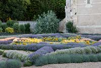 Chateau du Rivau, Loire Valley, France, sunken garden with Lavandulas and cotton Lavender, Santolina chamaecyparissus, early morning light