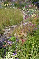 Meandering brook amongst wildflowers - Squire's Garden Centres: Urban Oasis at Hampton Court Palace Flower Show 2015