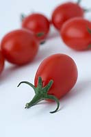 Solanum lycopersicum 'Harlequin' - Tomatoes