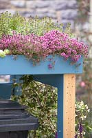Roof top planting on wooden structure for wheelie bins. Community Street BBC Gardener's Question Time Front Gardens. RHS Hampton Court Flower Show 2015