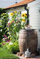 Just Retirement: A Garden For Every Retiree, A wooden barrel used as a water butt surrounded by Helianthus and Cosmos flowers. Designer: Tracy Foster Sponsor: Just Retirement Ltd