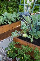 Just Retirement: A Garden For Every Retiree, Raised wooden vegetable bed with Brassica oleracea, cabbages, leeks, tomatoes.  Designer: Tracy Foster Sponsor: Just Retirement Ltd