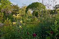 Mixed herbs and perennials in small rural garden