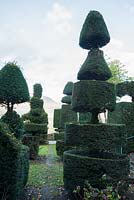 Yew topiary. Plas Brondanw, Penrhyndeudraeth, Gwynedd, Wales
