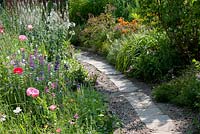 Path edged with Papaver rhoeas, Lysimachia ephemerum Hemerocallis and Salvia horminium - July