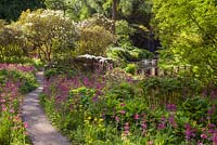 View of the Primula covered Glade toward the Stepping Stones. Himalayan Garden, Harewood House,Yorkshire, UK. Early Summer, June 2015.