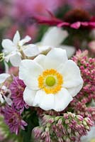Pink and white posie step by step in September. Anemone hupehensis. Japanese anemone