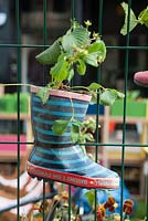 Dig the City Manchester 'Friendly Fences' by Planit-IE LLP and Pendleton together. Idiosycratic garden feature. A child's welly boot turned into a pot.