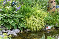 Next to natural styled garden pond decorative ceramic object and fishes show up between planting with Hakonechloa macra 'Aureola' and Hosta
