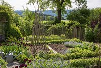 Kitchen garden framed with box hedges, a wooden climbing support for beans and tin watering cans. Plants include Buxus, Myosotis, Rubus fruticosus, Symphytum azureum and Tulipa