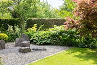 Japanese styled garden area with boulders in gravel, a hedge, a lawn and 'Sagae' Hosta, Acer palmatum, Philadelphus coronarius 'Variegata', Viburnum plicatum 'Mariesii'