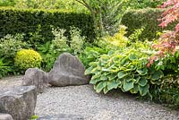Japanese styled garden with boulders in granite, a hedge and 'Sagae' Hosta, Acer palmatum, Philadelphus coronarius 'Variegata', Viburnum plicatum 'Mariesii'