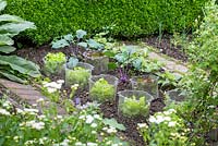 Vegetable patch with kohlrabi and salad protected with wire netting 
