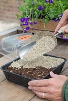 Covering seeds with a layer of Vermiculite