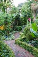 Exotic style garden with brick path lined with Lonicera nitida 'Baggesen's Gold'