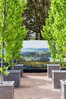 Display of the National Botanic Garden of Wales, fastigiate Beech in metal containers with backdrop banner of historical depiction of the garden. RHS Flower Show Cardiff. April 2015