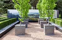 Display of the National Botanic Garden of Wales, fastigiate Beech in metal containers with backdrop banner of historical depiction of the garden. RHS Flower Show Cardiff. April 2015
