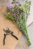 Creating flower bunches for a farmers market. A bundle of Origanum laevigatum 'Herrenhausen', Panicum elegans 'Frosted Explosion' and Centaurea ready to be wrapped