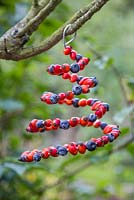 A natural spiral Bird Feeder made with Blueberries and Rose hips