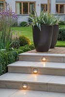 Lighting feature built into the marble steps, with potted Astelia chathamica