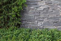 Detail of Buxus sempervirens and Taxus baccata hedge next to dry stone slate wall