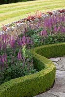 Salvia nemorosa Caradonna with shaped Buxus hedge alongside flint wall planted with Sempervivum and Sedum acre. Follers Manor, Sussex. Designed by: Ian Kitson