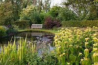 Wooden bench overlooking pond with Phlomis and Eryngium. Follers Manor, Sussex. Designed by: Ian Kitson