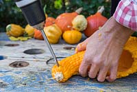 Use a smaller Wood Spade or Paddle bit and carefully drill two sections in the head of the Gourd, which are large enough to fit a Rose hip inside