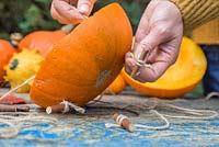 Create a stopper which will prevent the Pumpkin falling off the string, by forming a Clove Hitch knot around a small twig