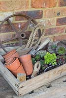 Items required for constructing a Succulent Chandelier. Terracotta pots, trowel, string, scissors, rope, cast iron wheel and Sempervivums