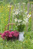 A basket and jug of wildflowers against a rustic fence, with a view to a meadow of Buttercups - Ranunculus