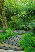 Wooden decking walkway through the woodland. Tremenheere Sculpture Gardens, Cornwall 