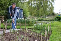 Woman hoeing the allotment beds to break up the surface and destroy weeds