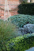 Frosty winter garden - simple garden parterre with box hedge, stipa grass, hebe and lavender 