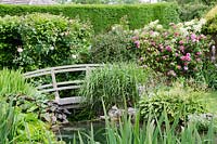 Footbridge over a pond, climbing pink Rose 'Gertrude Jekyll' with bearded Iris - Old Smithy, Dorset