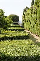 Avenue of Box and Cupressus sempervirens - Italian cypress or Mediterranean cypress to the side of the Water Parterre. Villa Gamberaia, Settignano, nr Florence, Tuscany, Italy. September.