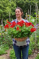 Woman holding Pelargonium 'Villetta Red' Toscana series in metal bucket