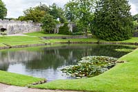 The Pool Garden, Aberglasney Garden, Llangathen, Carmarthenshire, Wales. July. 