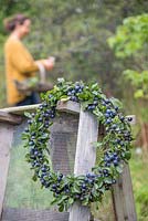 An autumnal Sloe berry - Prunus spinosa wreath hanging on wooden pallets, woman foraging in the background